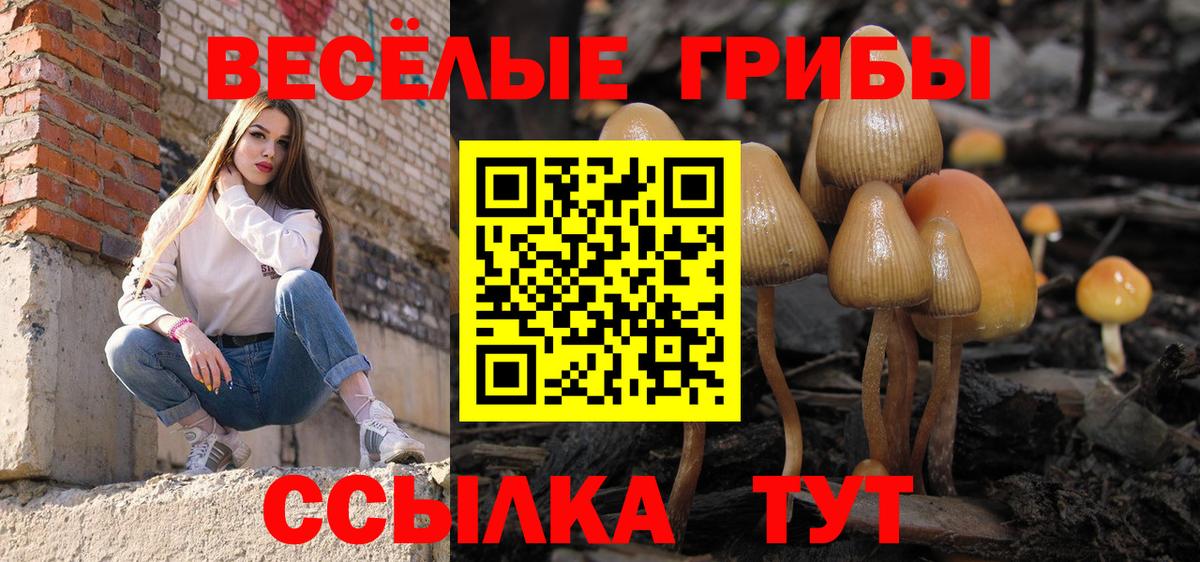 Псилоцибиновые грибы мухоморы Приморско-Ахтарск